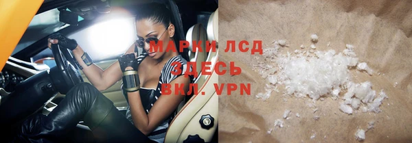 гашик Ветлуга