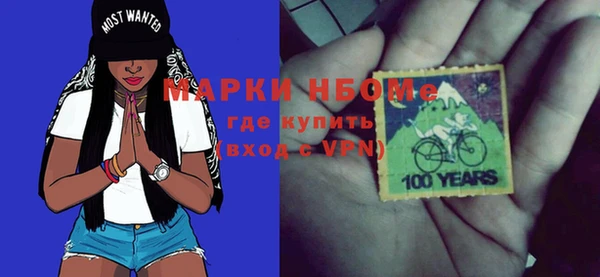 гашик Ветлуга