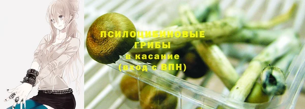 2c-b Протвино