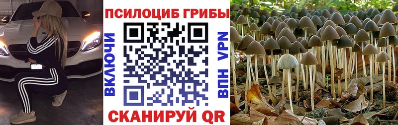 Галлюциногенные грибы мухоморы где купить наркоту Бахчисарай