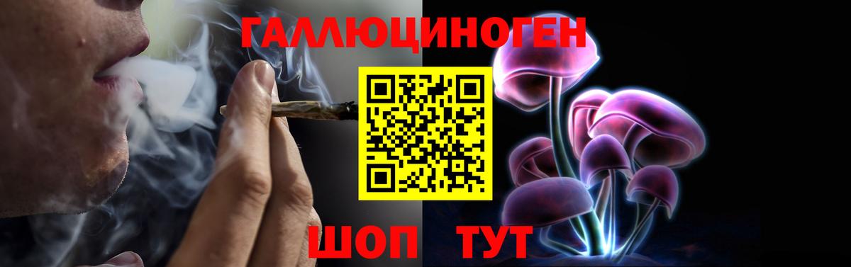 Псилоцибиновые грибы Cubensis  Бахчисарай  Галлюциногенные грибы MAGIC MUSHROOMS 